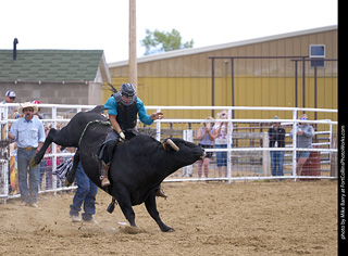 Never Summer Rodeo - Bull Riding