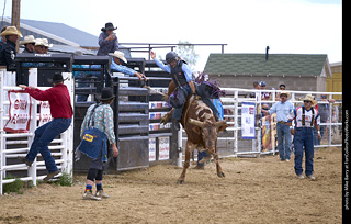 Never Summer Rodeo - Bull Riding