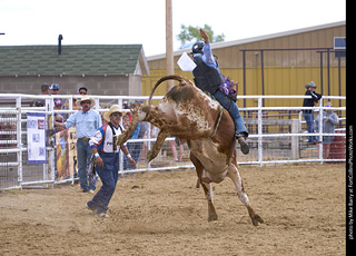 Never Summer Rodeo - Bull Riding
