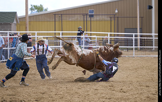 Never Summer Rodeo - Bull Riding