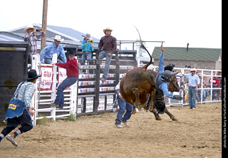Never Summer Rodeo - Bull Riding