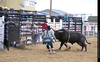 Never Summer Rodeo - Bull Riding