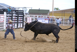Never Summer Rodeo - Bull Riding