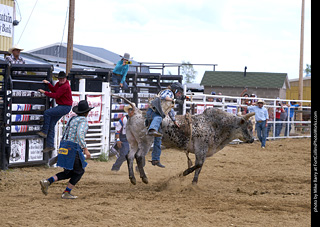 Never Summer Rodeo - Bull Riding