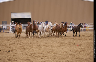 Never Summer Rodeo - Running the Horses