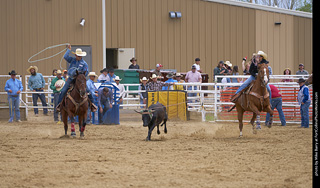 Never Summer Rodeo - Mixed Team Roping