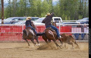 Never Summer Rodeo - Mixed Team Roping