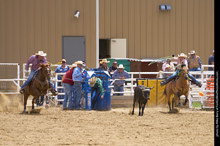 Never Summer Rodeo - Open Team Roping