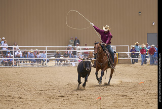 Never Summer Rodeo - Open Team Roping