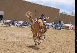 Never Summer Rodeo - Saddle Bronc Riding