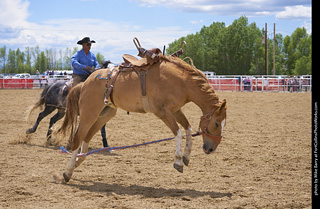 Never Summer Rodeo - Saddle Bronc Riding