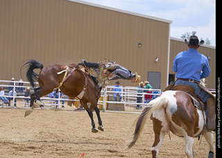 Never Summer Rodeo - Saddle Bronc Riding