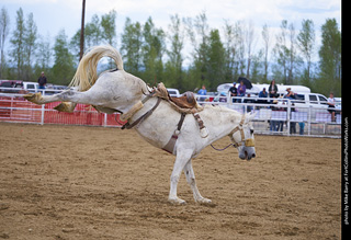 Never Summer Rodeo - Saddle Bronc Riding