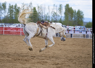Never Summer Rodeo - Saddle Bronc Riding