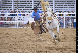 Never Summer Rodeo - Saddle Bronc Riding