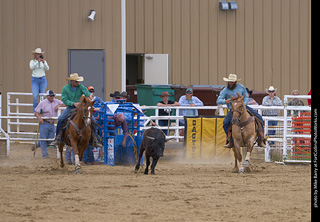 Never Summer Rodeo - Steer Wrestling