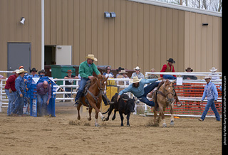 Never Summer Rodeo - Steer Wrestling