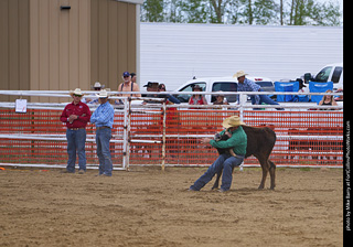 Never Summer Rodeo - Steer Wrestling