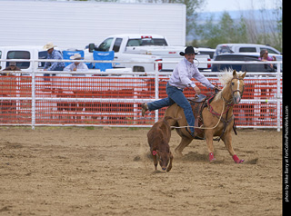 Never Summer Rodeo - Tie Down Roping