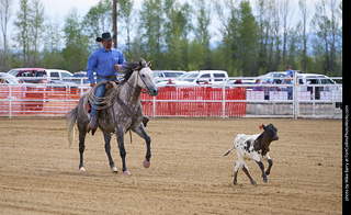 Never Summer Rodeo - Tie Down Roping