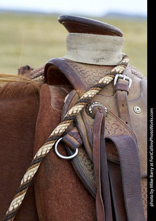 Diggs Cowboy Shoot