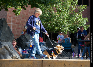 Tour de Corgi - Costume Contest