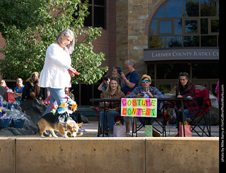 Tour de Corgi - Costume Contest
