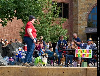 Tour de Corgi - Costume Contest