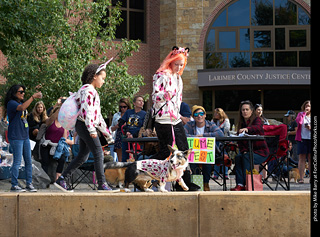 Tour de Corgi - Costume Contest