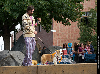 Tour de Corgi - Costume Contest