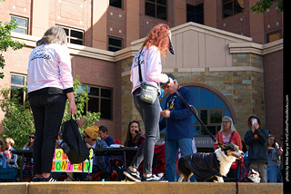 Tour de Corgi - Costume Contest