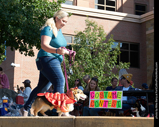 Tour de Corgi - Costume Contest
