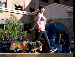Tour de Corgi - Costume Contest