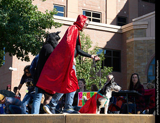 Tour de Corgi - Costume Contest
