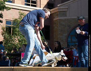 Tour de Corgi - Costume Contest