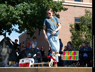 Tour de Corgi - Costume Contest