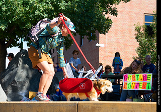 Tour de Corgi - Costume Contest