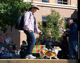 Tour de Corgi - Costume Contest