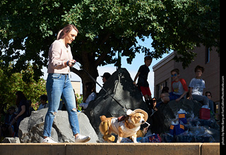 Tour de Corgi - Costume Contest