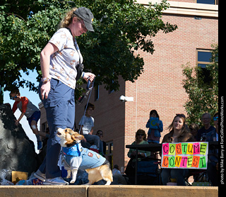 Tour de Corgi - Costume Contest