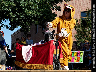 2022 Tour de Corgi - Costume Contest