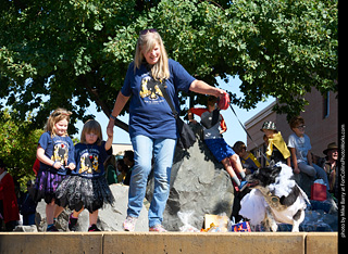 Tour de Corgi - Costume Contest