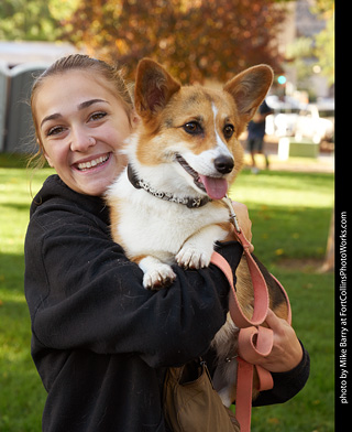Tour de Corgi - meet up
