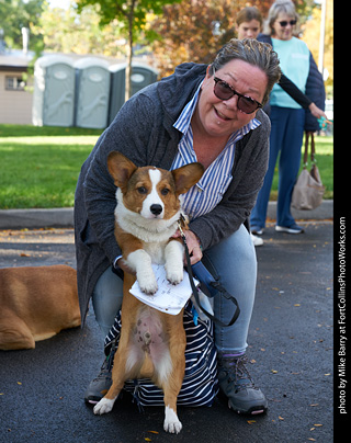 Tour de Corgi - meet up