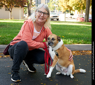 Tour de Corgi - meet up