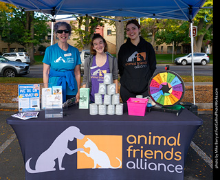 Tour de Corgi - meet up