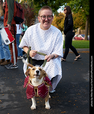 Tour de Corgi - meet up