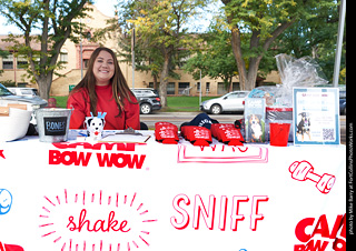 Tour de Corgi - meet up