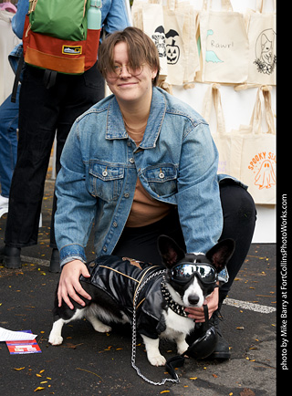 Tour de Corgi - meet up