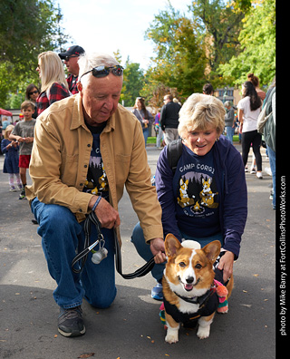 Tour de Corgi - meet up